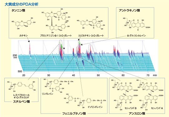 大黄成分のＰＤＡ分析