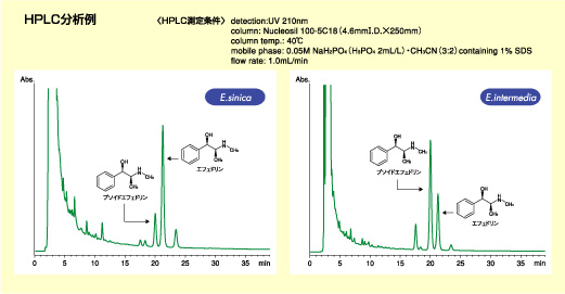 ＨＰＬＣ分析例