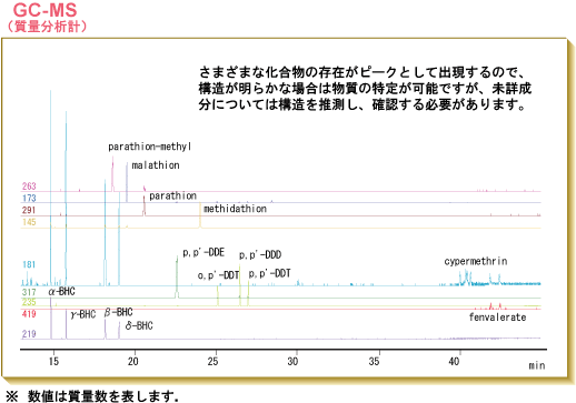 GC-NS（質量分析計）