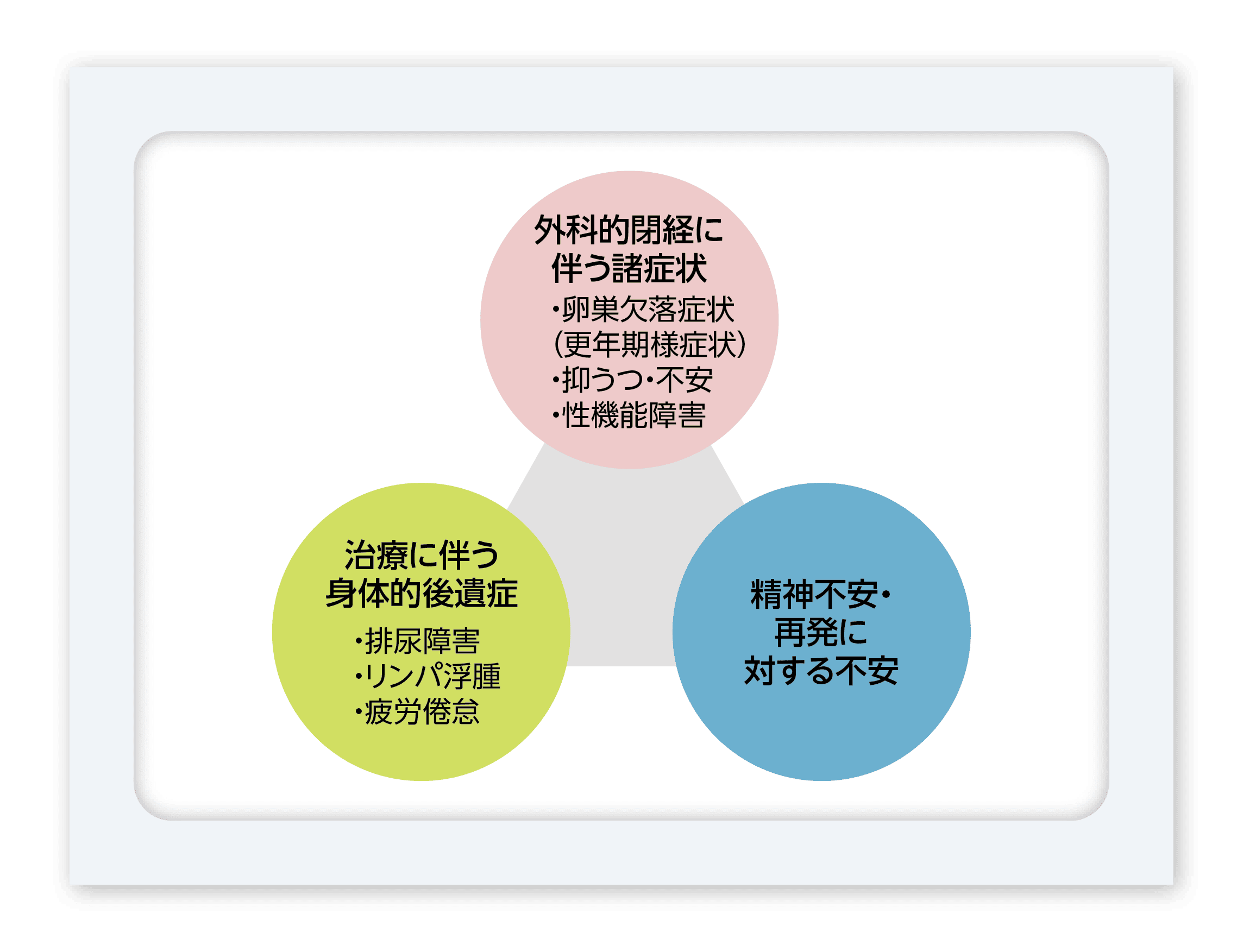 図3 主ながんサバイバーのヘルスケアの観点から問題となる点
