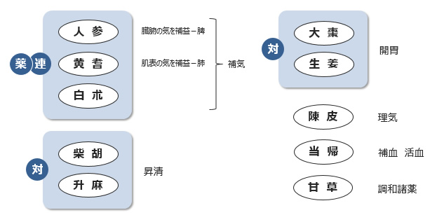 図1-6. 補中益気湯の生薬構成