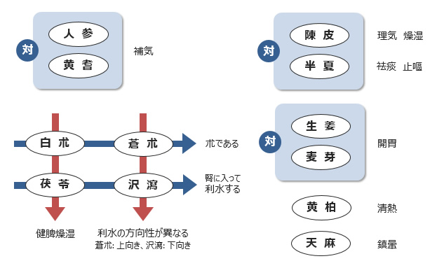 図1-7. 半夏白朮天麻湯の生薬構成