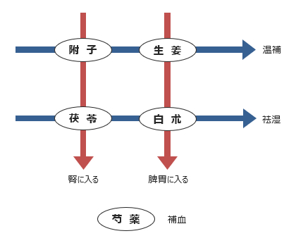 図3-5. 真武湯の生薬構成